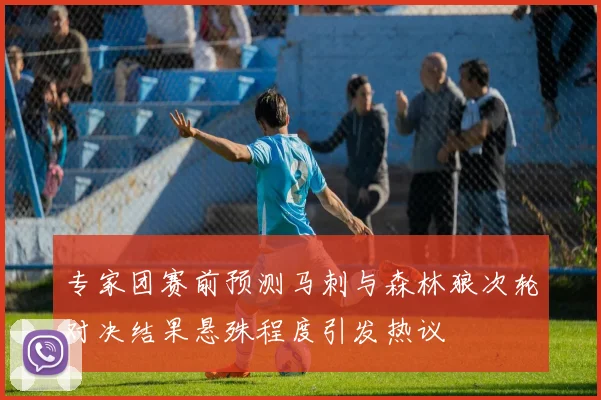 专家团赛前预测马刺与森林狼次轮对决结果悬殊程度引发热议
