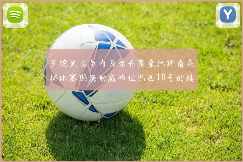 罗德里戈与内马尔齐聚桑托斯南美杯比赛现场助威两位巴西10号的精彩时刻